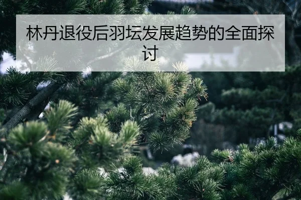 lin-dan-tui-yi-hou-yu-tan-fa-zhan-qu-shi-de-quan-mian-tan-tao-2-315.jpg